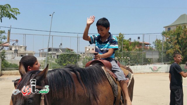 كفرقاسم - فيديو  : تعليم هواية ركوب الخيل في مدرسة جنة ابن رشد في اليوم الرابع لصيف الصادقة 